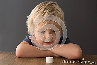 A young blonde boy sits across the table from a single marshmallow Stock Photo