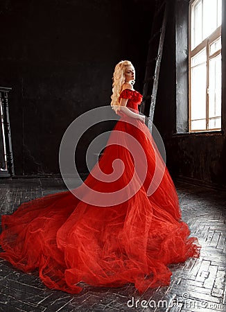 Blonde girl in a luxurious dress Stock Photo