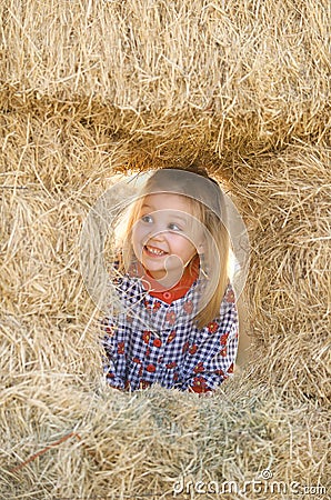 Blonde Little Girl In Haystack Stock Photo