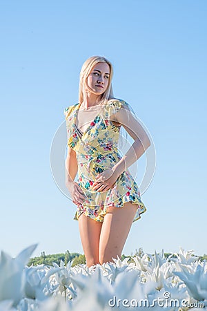 Sexy blonde at a photo shoot in a field of flowers and tulips Holland Stock Photo