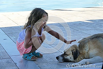 Blonde 4 year old girl caresses a dog Stock Photo