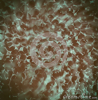 Blood or bacteria cells. Medical texture or background. Stock Photo