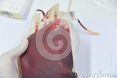 Blood bag in laboratory Stock Photo