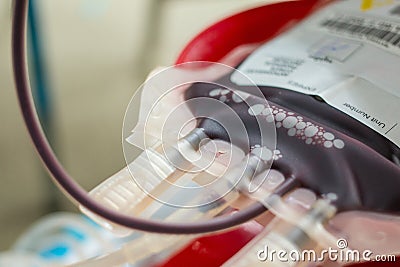 Blood bag obtained Stock Photo