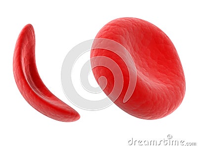 Blood cell Cartoon Illustration