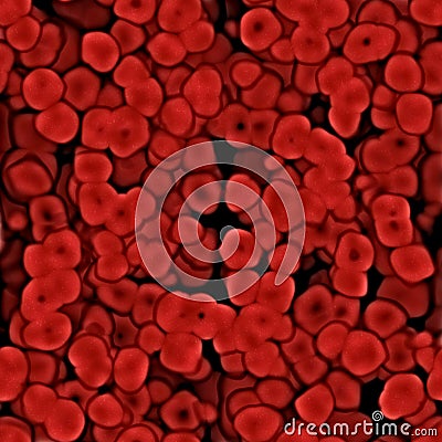 Blood cells Cartoon Illustration