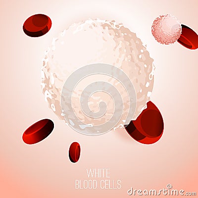 Blood Cells Background Vector Illustration