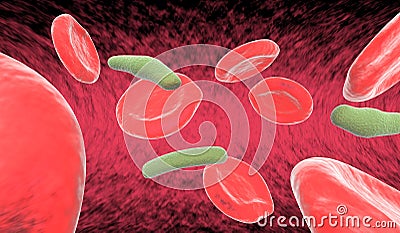 Blood cells and bacteria in artery Stock Photo