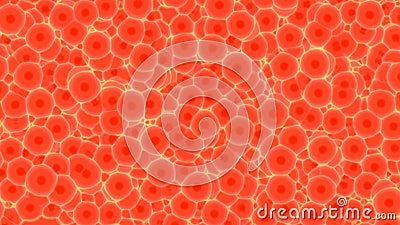 Blood cells or bacteria under microscope Stock Photo