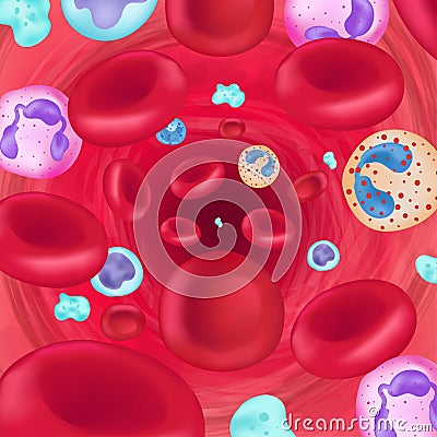 Blood cells Vector Illustration