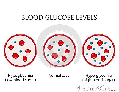 Blood Glucose Sugar Levels Vector Illustration