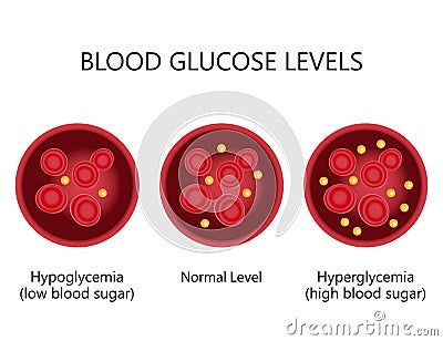 Blood Glucose Sugar Levels. Vector Illustration