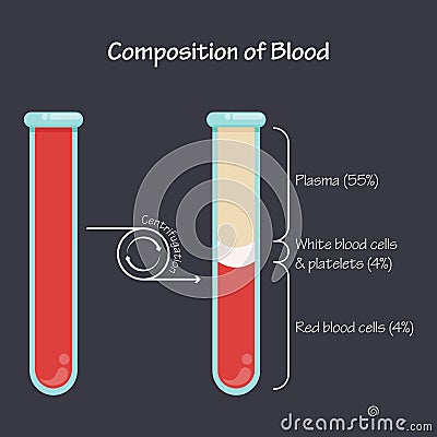Composition of blood after centrifugation scientific vector illustration graphic Cartoon Illustration