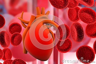 Blood system with a human heart Stock Photo