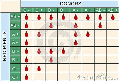 Blood Transfusion Table Vector Illustration