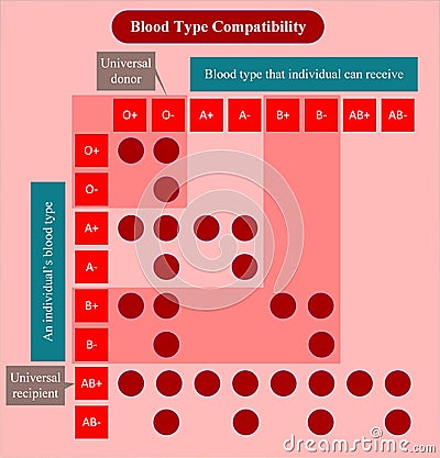 Blood type compatibility Stock Photo