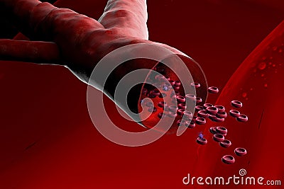 Blood vessel with bloodcells Stock Photo