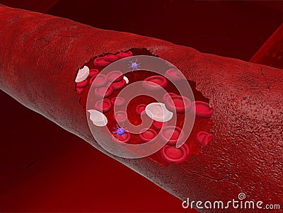 Blood vessel with bloodcells Stock Photo