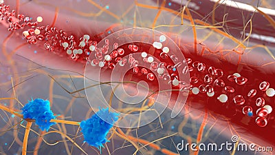 Blood vessel with bloodcells flowing through Stock Photo