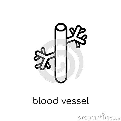 Blood Vessel icon. Trendy modern flat linear vector Blood Vessel Vector Illustration