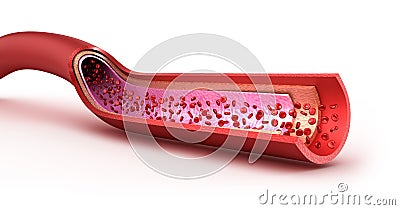 Blood vessel sliced macro with erythrocytes. Stock Photo