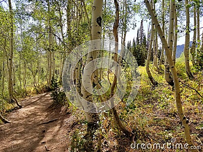 Bloods Lake Trail in Utah. Stock Photo