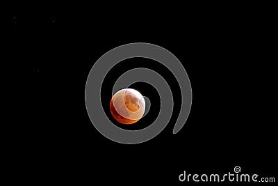 Bloody full moon in a black sky Stock Photo