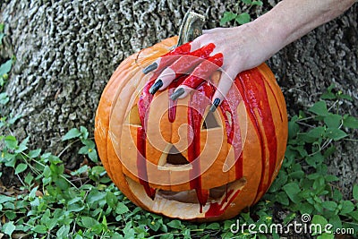 Bloody Hand and Pumpkin Stock Photo