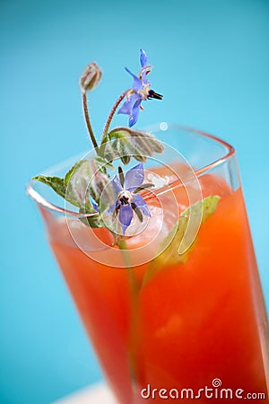 Bloody Mary cocktail Stock Photo