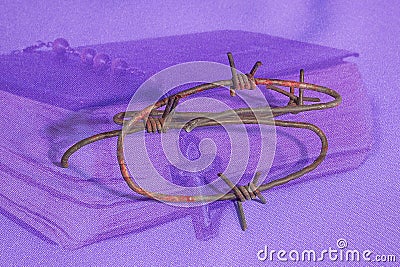 Bloody spiked crown, bible and rosary on a purple penance background. Passion, crucifixion of Jesus Christ. Christian Stock Photo