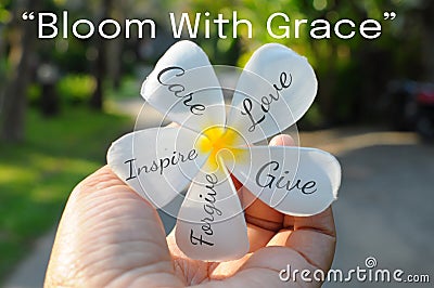 Inspirational quote - Bloom with Grace. With positive words on white Bali flower in hand on green enviroment background. Stock Photo