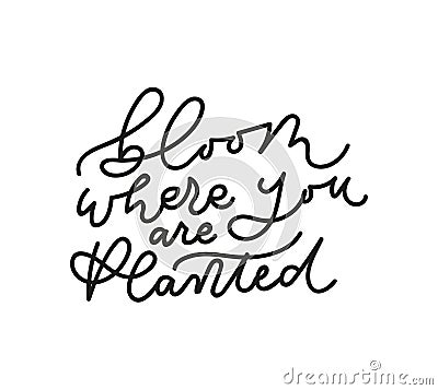 Bloom where you are planted inspirarional lettering inscription Vector Illustration