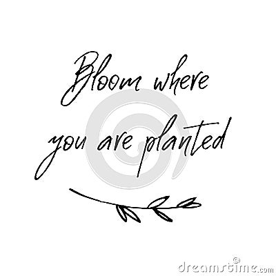 Bloom where you are planted. Inspirational and motivational handwritten lettering quote. Vector Illustration