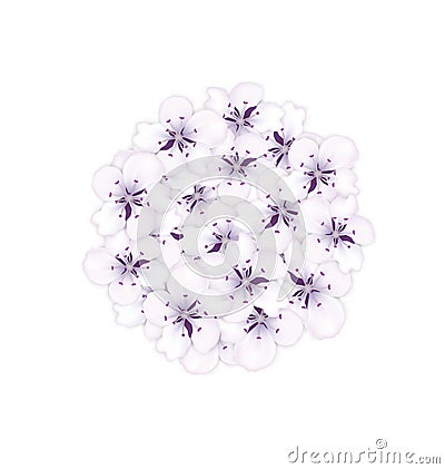 Blooming bouquet sakura blue flowers in round shape Vector Illustration