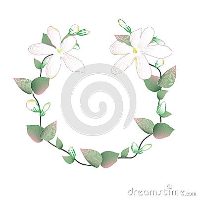 Blooming and budding Jasmine flowers wreath Vector Illustration