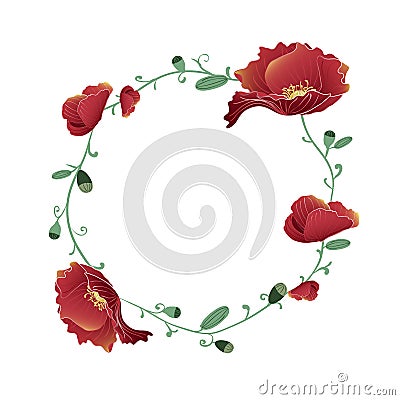 Blooming and budding red Poppy flowers wreath Vector Illustration