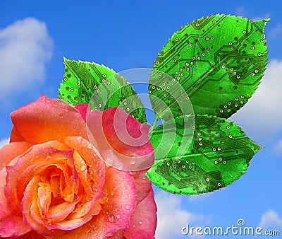 Blooming business Stock Photo