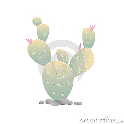 Blooming Cactus Vector Illustration