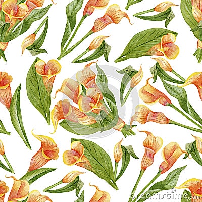 Blooming callas seamless Cartoon Illustration