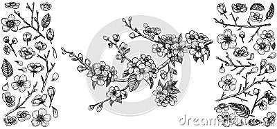 Blooming cherry branch, vector illustration and big set of design elements: flowers, leaves, petals, buds. Vector Illustration