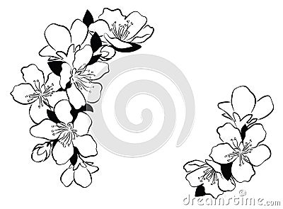 Blooming cherry. Sakura branch with flower buds. Black and white drawing of a blossoming tree in spring. Logo with Vector Illustration