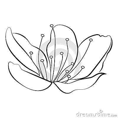 Blooming cherry. Sakura branch with flower buds. Black and white drawing of a blossoming tree in spring. Logo with Vector Illustration