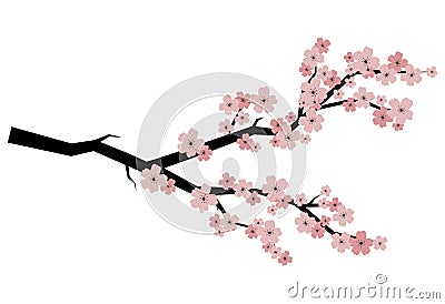 Blooming cherry. Sakura branch with flower buds. Cartoon drawing of a blossoming tree in spring. Logo with Japanese Vector Illustration