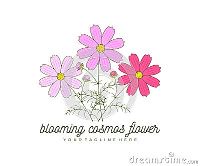 Blooming cosmos flower, kosmeya and cosmos, logo design. Nature, floral, bloom and floristry, vector design Vector Illustration