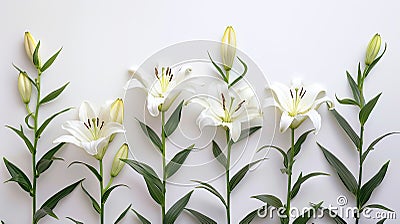 Blooming Easter: A Pure White Lily on a Background of Hope and Renewal Stock Photo