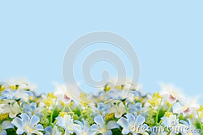 Blooming of fake flower on soft blue background Stock Photo