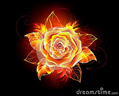 Blooming fire rose Flame rose Vector Illustration