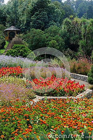 Blooming flowerbed in Batumi in Georgia Stock Photo