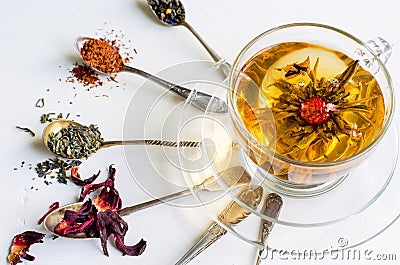 Blooming or flowering tea in a glass cup and spoons with various kinds of tea on white background Stock Photo