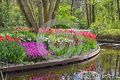 Blooming flowers in a park with a pond Stock Photo